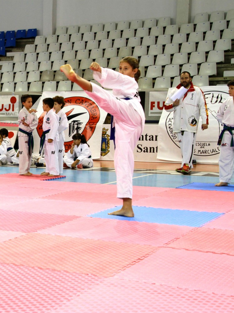 Taekwondo Dic 2016 (156).jpg